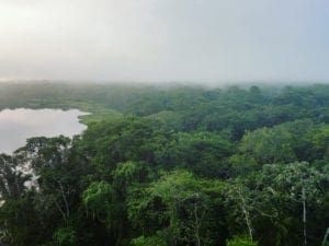 Insider's Guide to the Amazon