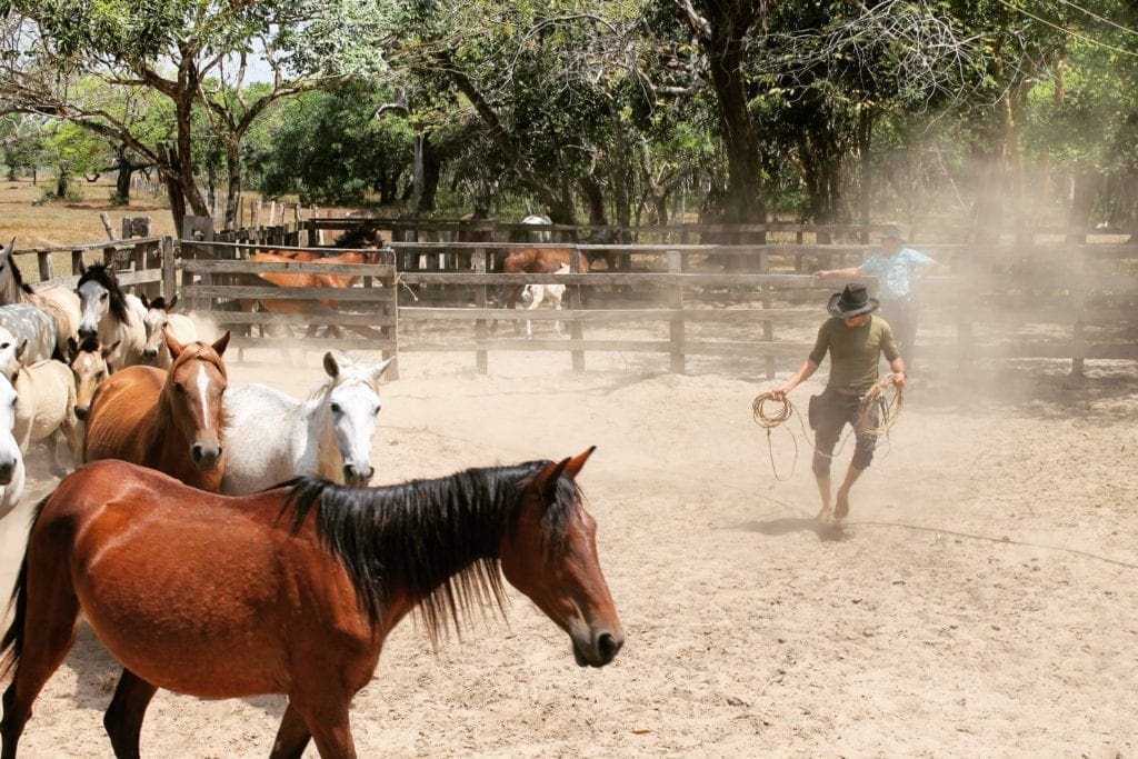 IMG 20200313 122134 979