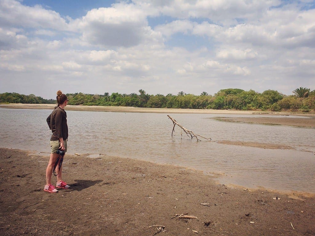 UNADJUSTEDNONRAW thumb 8e01