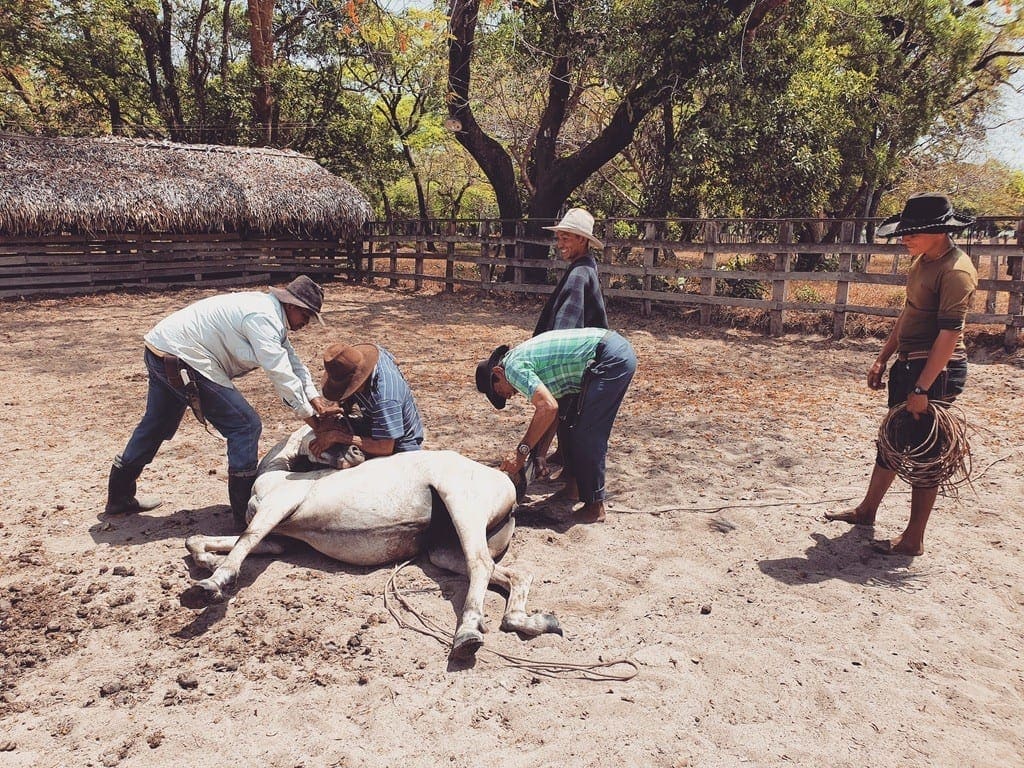 UNADJUSTEDNONRAW thumb 8e04