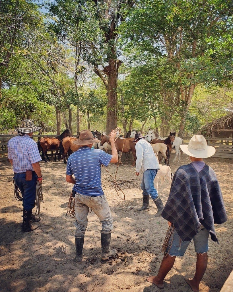 UNADJUSTEDNONRAW thumb 8e06