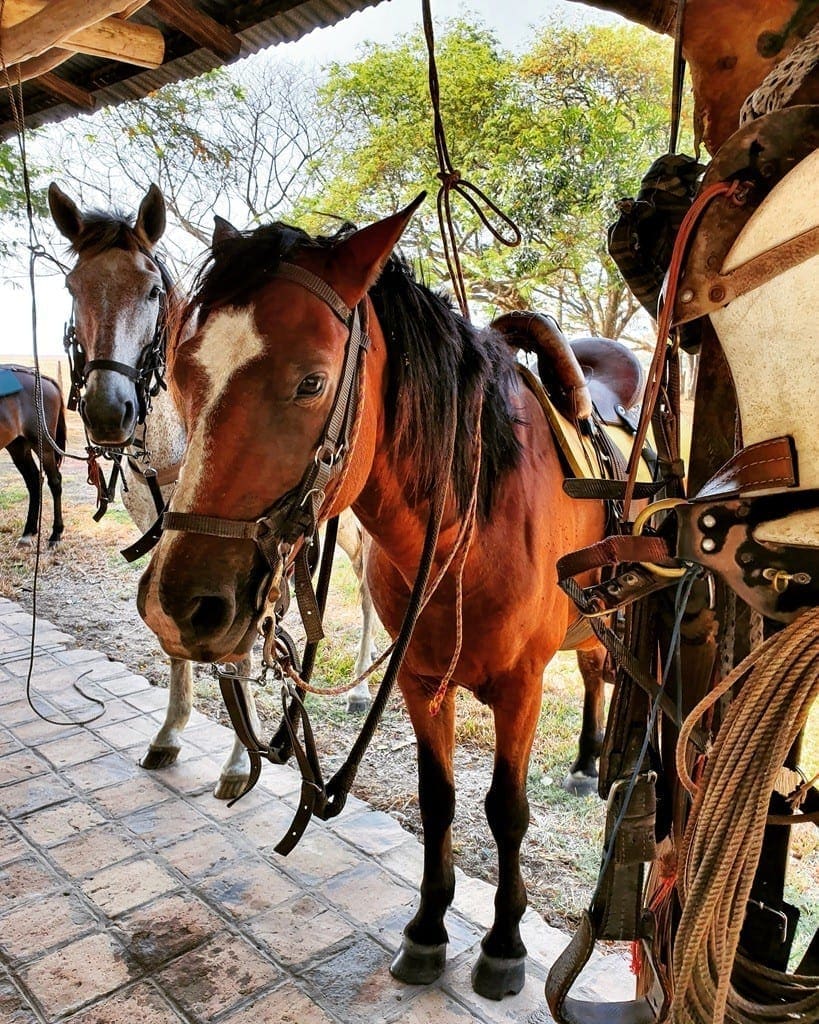 UNADJUSTEDNONRAW thumb 8e09