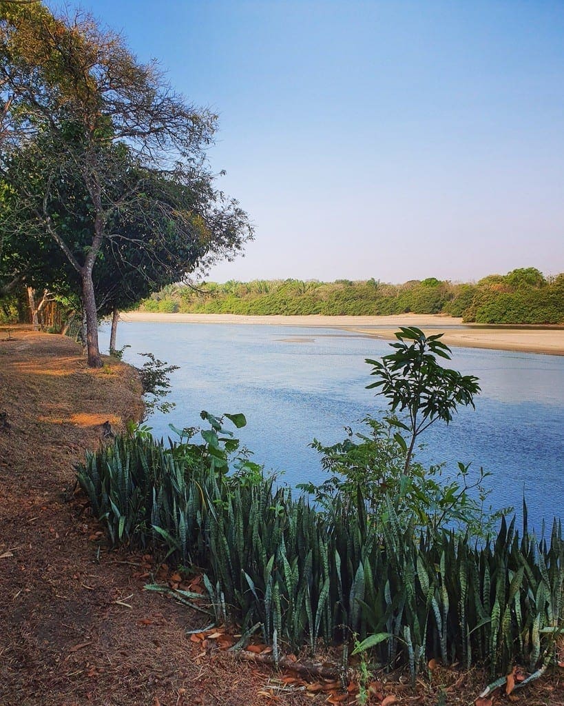 UNADJUSTEDNONRAW thumb 8e0a