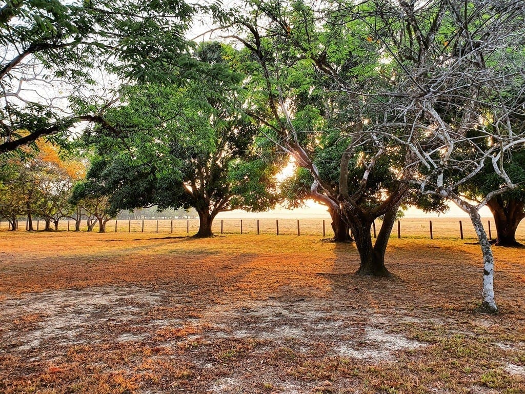 UNADJUSTEDNONRAW thumb 8e0b