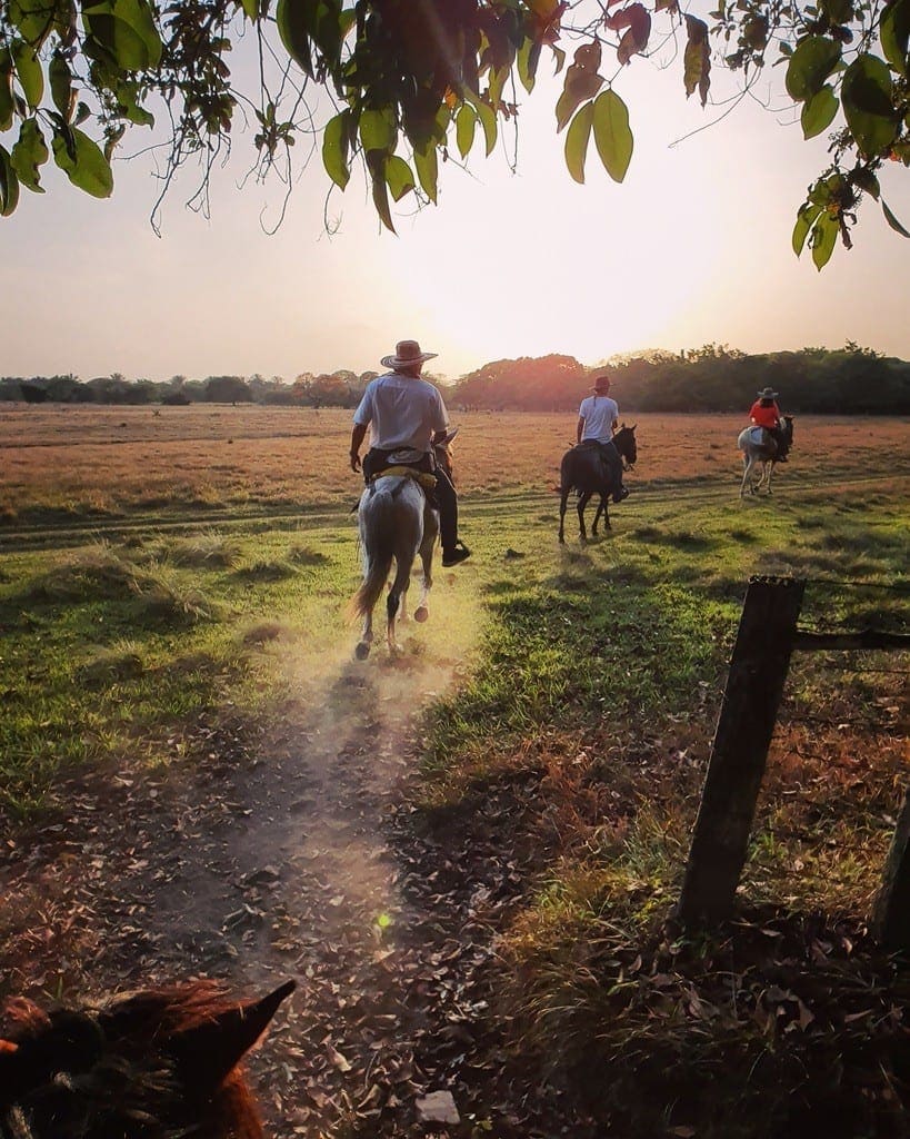 UNADJUSTEDNONRAW thumb 8e14