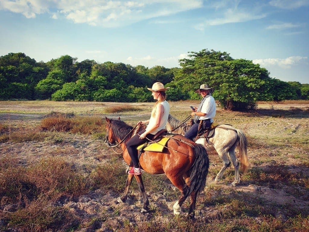 UNADJUSTEDNONRAW thumb 8e1b