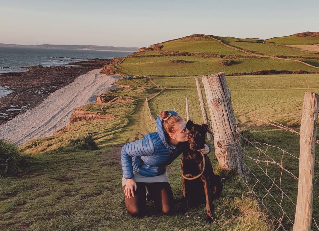 Digital nomads with dogs