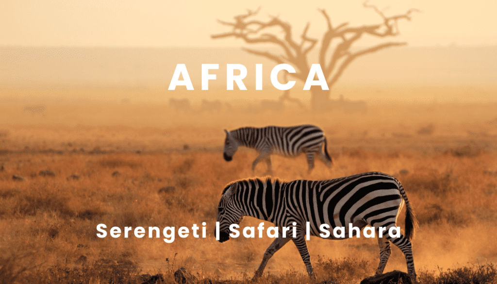 Africa - Safari | Sahara | Serenity