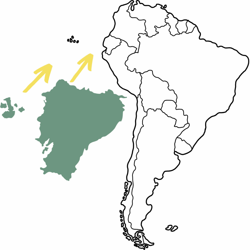 South America and Ecuador map