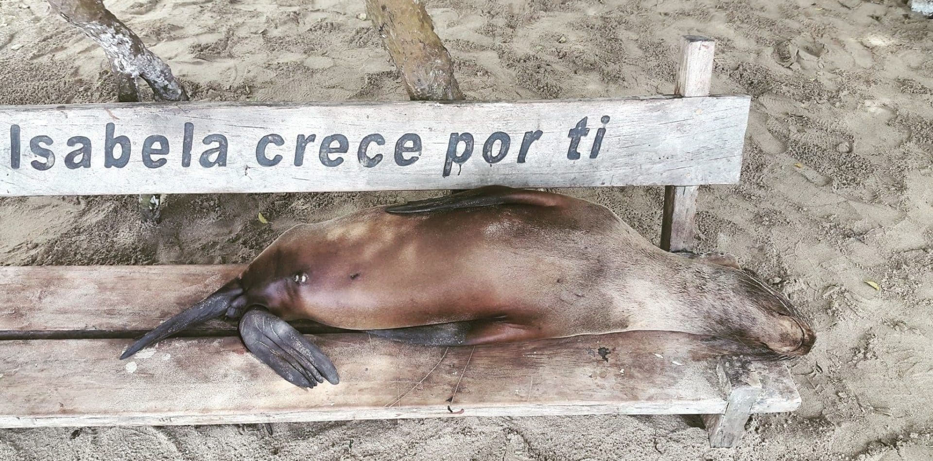 Galapagos Island Hopping