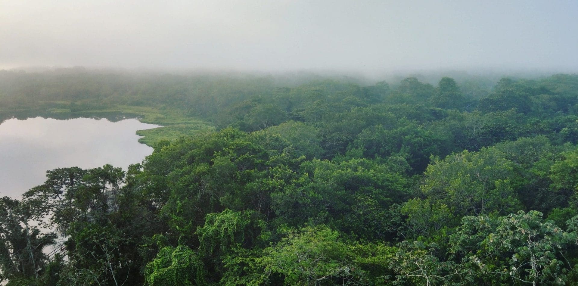 Insider's Guide to the Amazon